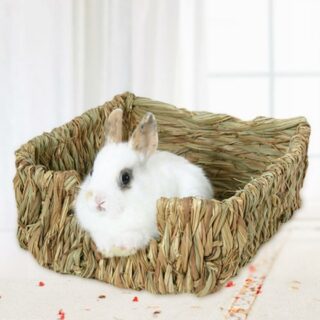Sur fond blanc, on voit un lapin blanc qui est allongé dans un panier tissé en herbs séchées.