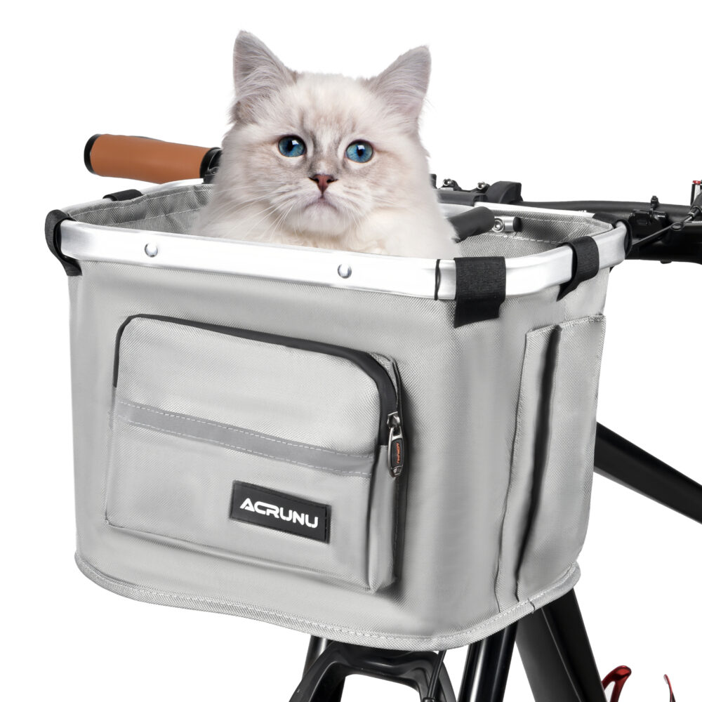 panier à vélo sur le guidon d'un vélo noir gris avec poches, avec un chat gris clair et yeux bleus dedans, sur fond blanc