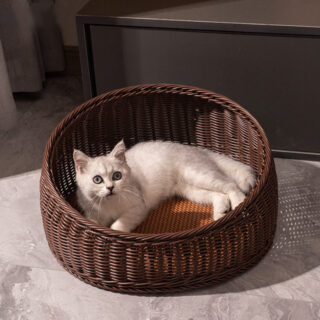 Dans un panier en rotin marron, on voit un chat blanc qui se prélasse.