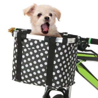 On voit le devant d'un vélo vert avec un panier noir à pois blanc suspendu dans lequel se trouve un chien. C'est un petit chien beige qui bâille.