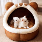2 chiens sont poser dans le panier pour chien marron