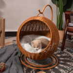 On voit un panier pour chat, dans un salon. Le panier est en osier, rond et de couleur marron. Il est surpendu. Un chat dort à l'intérieur, sur un coussin épais et blanc.