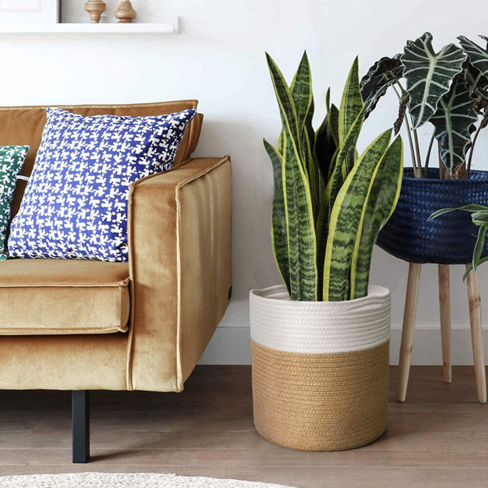 5691-suxubb.jpg Plante dans un cache pot en coton blanc et marron posé à côté d'un canapé avec un coussin dessus et d'une table basse.