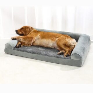 Panier orthopédique chien avec une housse amovible avec un chien dedans, sur fond blanc